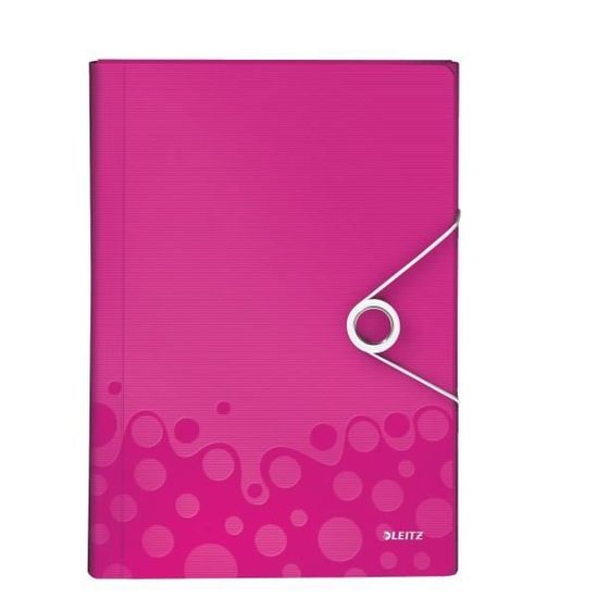 Classeur à Anneaux Leitz A4+ Rose - Capacité 230 Feuilles, 2 Anneaux 25 Mm, Dos 40 Mm - Pour Intercalaires, Pochettes