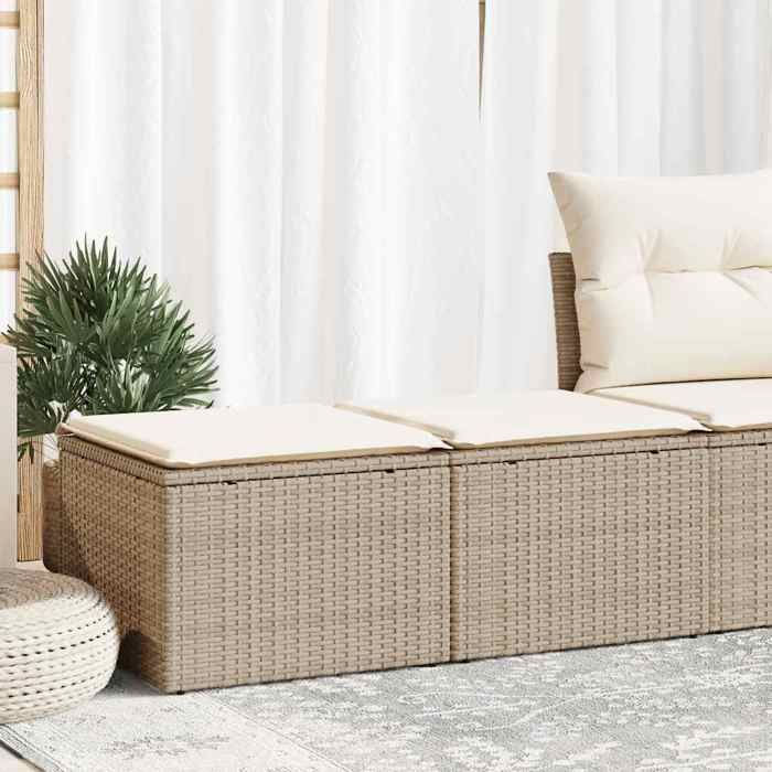 vidaXL Salon de jardin avec coussins 2 pcs beige résine tressée acacia ensemble de canapés dextérieur salon de jardin 3328661