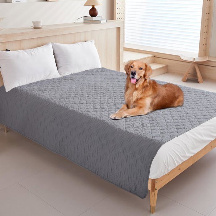 Couverture Imperméable Chien - Tapis pour Animaux - 70x180 cm - Gris - Durable et Lavable en Machine