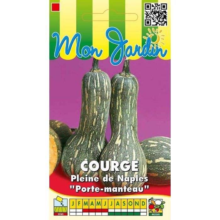 Graine - Semence - Courge pleine de Naples / Porte-manteau