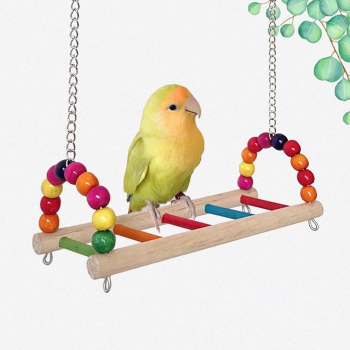 Balançoire perchoir pour oiseaux jouets en bois pour perroquets accessoires pour cages à oiseaux supports pour hamacs