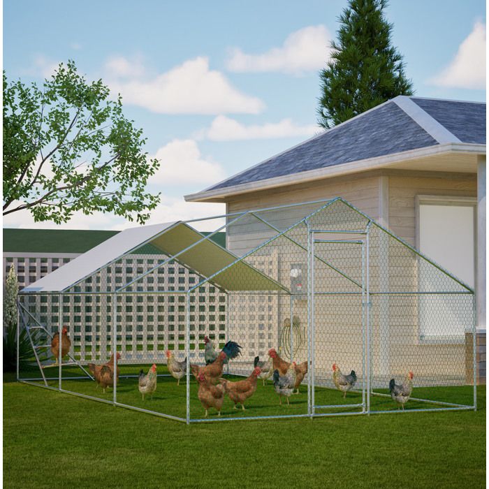 WUVRIE Enclos pour poules 3x6 m en métal gris toiture PVC porte verrouillable structure renforcée