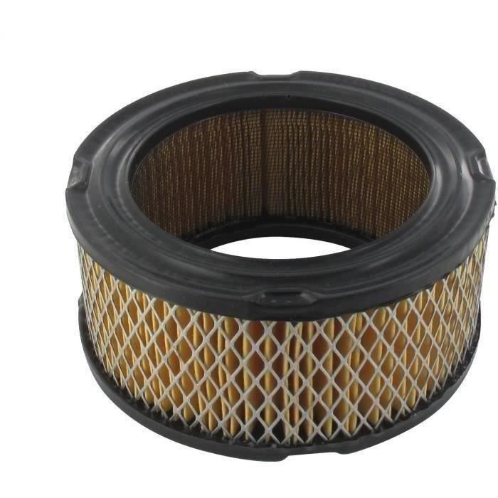 Filtre+à+air+BRIGGS+ET+STRATTON+392286