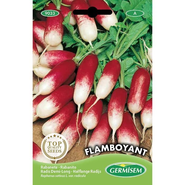 Radis Rouge 18 Jours Vilmorin - Légume Racine Précoce Et Résistant Pour Potager Maison