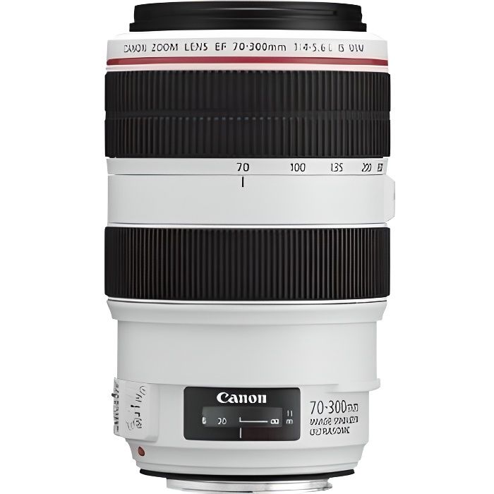 Canon EF 70-300mm f/4-5.6L IS USM