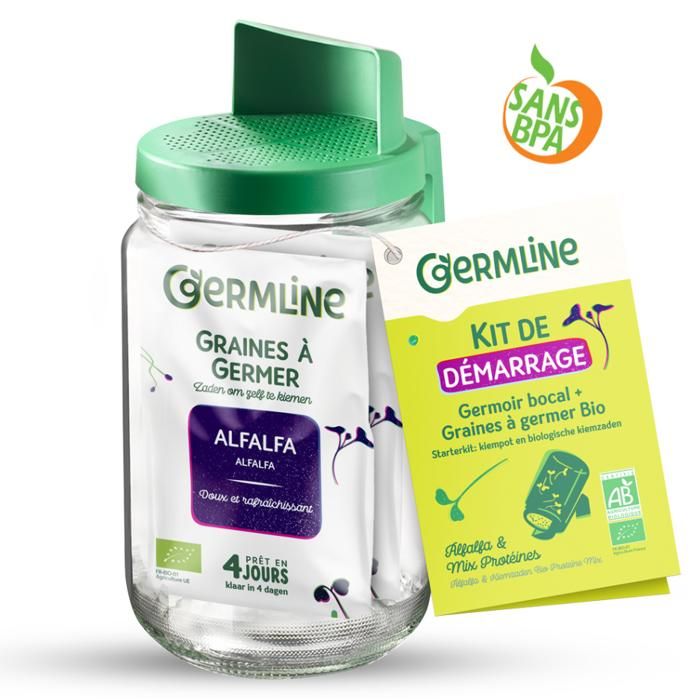 Germoir en verre Germline