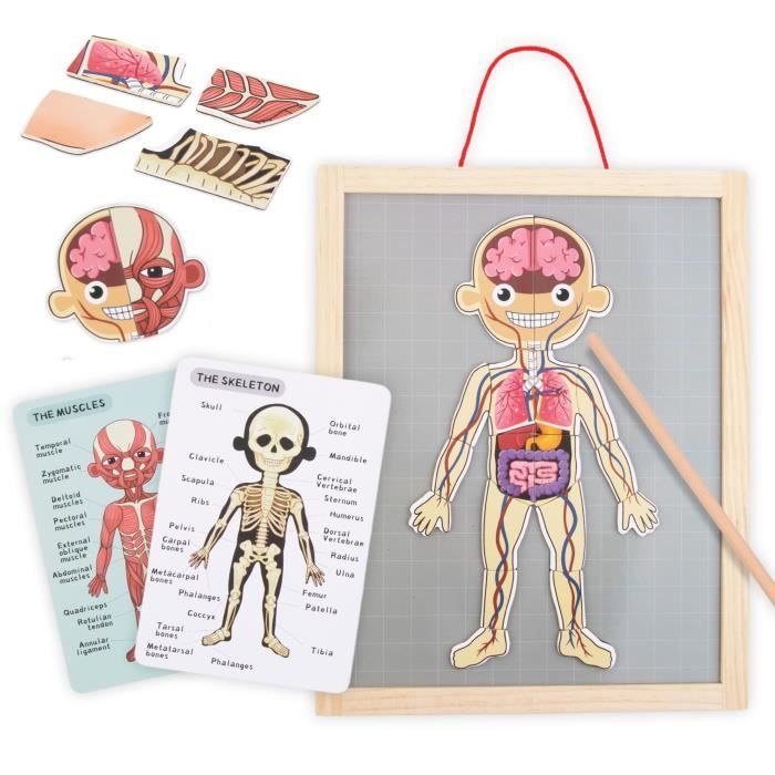 Puzzle magnétique éducatif corps humain - MAMABRUM - Dès 3 ans - Intérieur - Mixte - Blanc - Bois