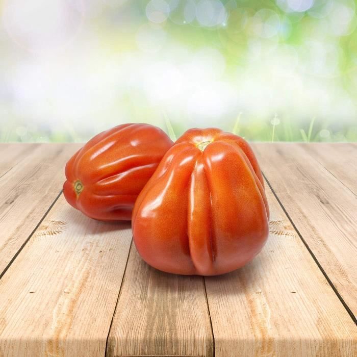 Graines De Tomate 'White Beauty' - Lot De 25 Graines Naturelles Du Portugal - Sans Produits Chimiques Ni OGM