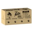 FELIX Tendres Effilés en Gelée - Sélection Mixte - 120x85g - Sachets fraîcheur pour chat adulte-1