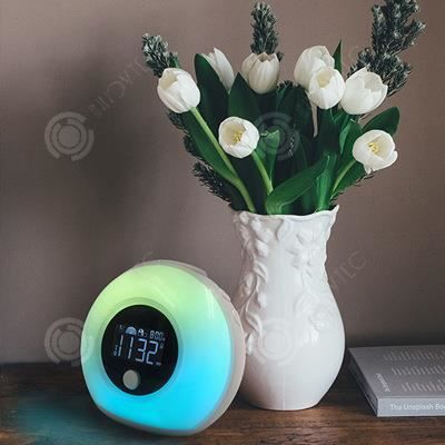 INN® Réveil Lumineux avec Haut-parleurs Bluetooth, Réveil Enfant