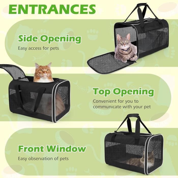 Transport du Chat Étiqueté sac transport chat - Chiens & Chats