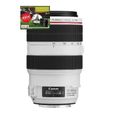 Canon EF 70-300mm f/4-5.6L IS USM-2