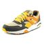 puma trinomic cdiscount