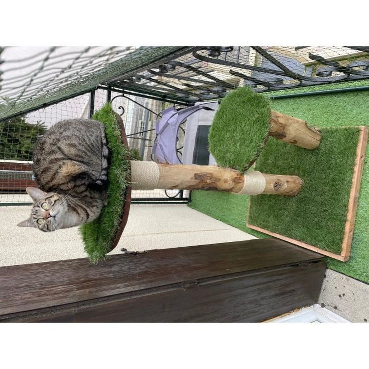 Arbre A Chat D Exterieur Et D Interieur En Bois Naturel Avec Deux Troncs Cdiscount Animalerie