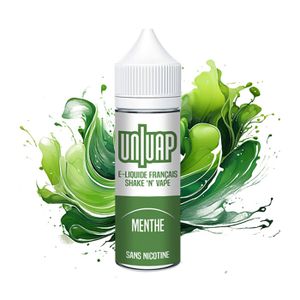 Puff rechargeable avec nicotine menthe