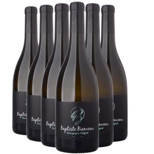 VIN BLANC Bourgogne Aligoté Blanc 2021 - Lot de 6x75cl - Bap