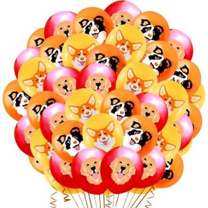 Decoration anniversaire chien - Cdiscount