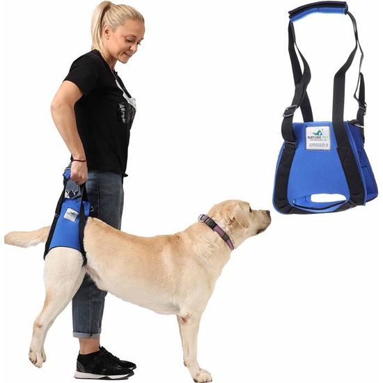 Barrière Rétractable Pour Chiens/intérieur - 50x125 Cm Réglable - Ventouses Et Encastrement - Sécurité Enfant/animal
