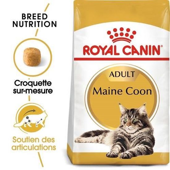 Royal Canin Maine Coon Adult Pour Chat 4 Kg Cdiscount