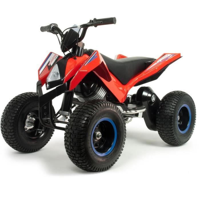 INJUSA X-Treme Quad Hunter 24V