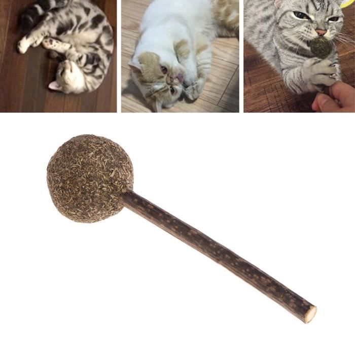 1PC Catnip Lollipop Jouet - Boule d'herbe à Chat - Cataire - Bio - Friandises à mâcher pour Chat - pour Animal