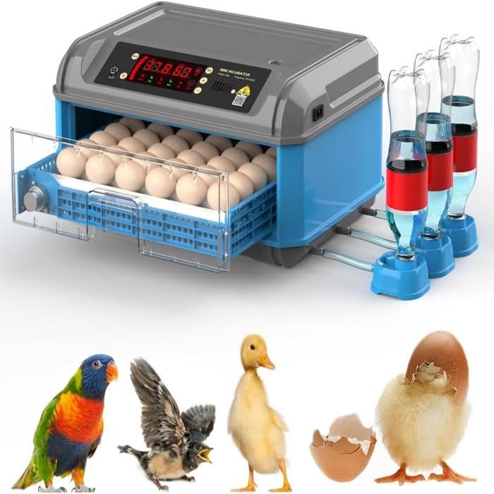 Meilleurs prix pour Couveuse Oeuf Automatique - 36 œufs Incubateur Oeuf Automatique - Retournement Automatique des Oeufs - Contrôle Humidité -