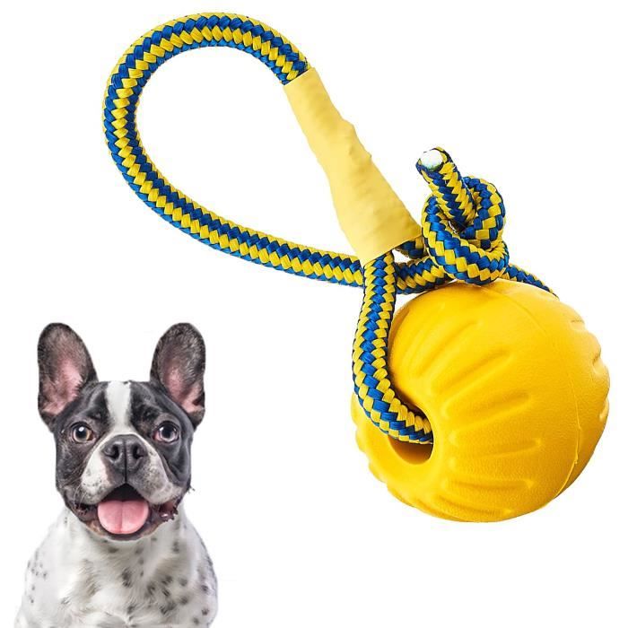 Meilleurs prix pour Balle pour Chien avec Corde Balle de Dressage pour Chien en Mousse Balle Flottante pour Chien (L)