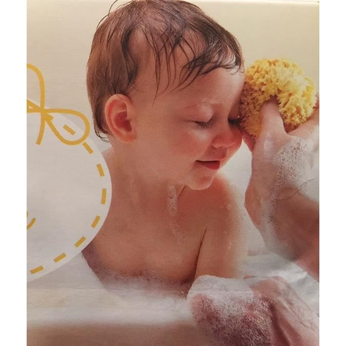 Eponge 100 Naturelle De La Mediterranee Premium Bellini Honeycomb N 10 Pour Le Bebe Enfant Et Des Adultes Cdiscount Puericulture Eveil Bebe Eponge 100 Naturelle De La Mediterranee Premium Bellini Honeycomb N 10 Pour Le Bebe Enfant Et Des Adultes Cdiscount Puericulture Eveil Bebe