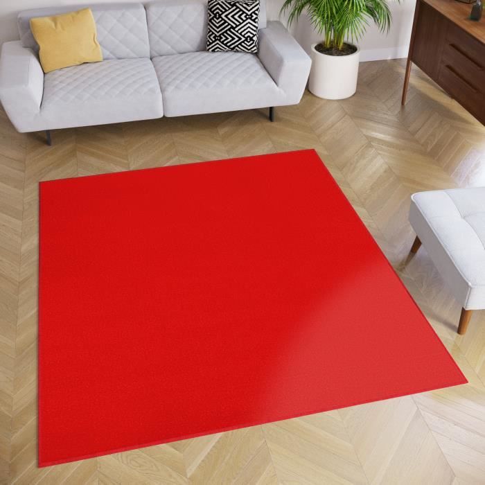 Tapis Carr 250x250