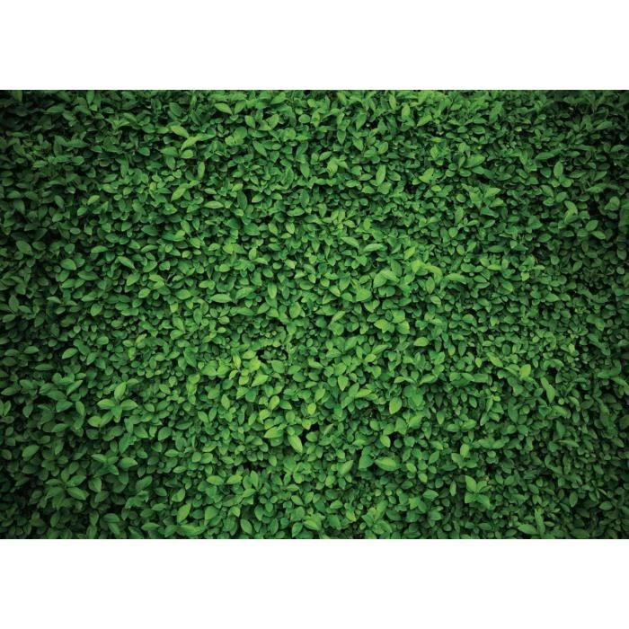 CORFOTO 7x5ft Toile De Fond En Tissu Pour Peinture De La Naissance De J Sus Sc Ne De La Nativit De No L Th Me De No L D Corations De F Te D Anniversaire F Te Pr Natale Photomaton