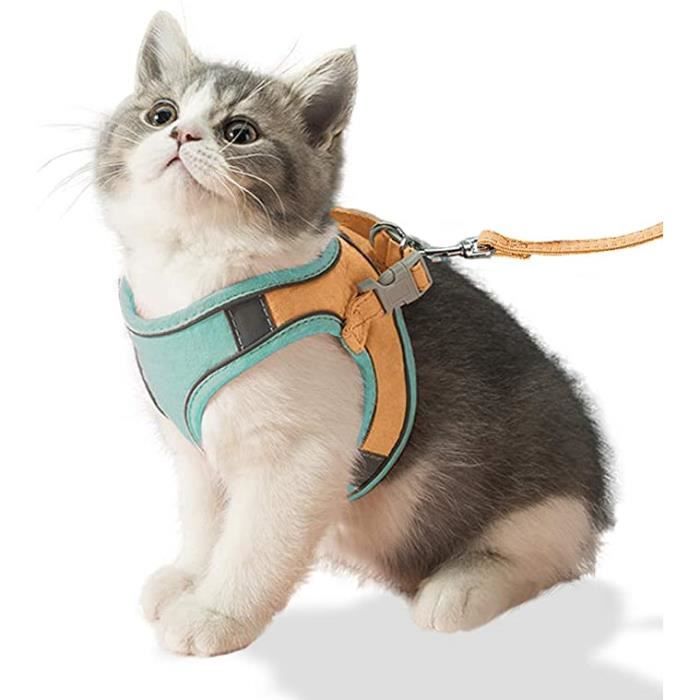 All Inclusive Cat Harness with VIPITH Leash Soft Adjustable Anti Break for Cats and Dogs Orange Green Patchwork M Cdiscount