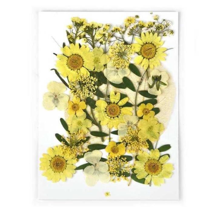 Lot De 4 Marque-pages En Résine Avec Fleurs Séchées Pressées - Design Naturel Avec Pompon, 14 X 2,5 Cm