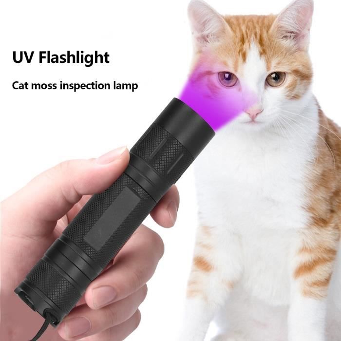 Lampe De Poche UV Alimentée Par Batterie Détecteur De Lumière Noire UV365  Ne - Cdiscount Bricolage