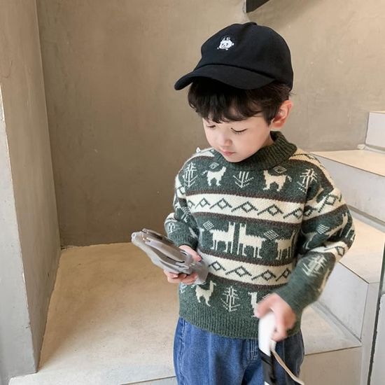 Garcons Epaissir Pull De Noel Bebe Hiver Tricots Style Occidental Enfants Automne Hiver Hauts Vert Achat Vente Pull Cdiscount