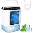 Climatiseur portable 4 en 1 - PZCC - 16x16x24 cm - Réservoir 900 ml - 3 vitesses - Silencieux 55 dB