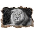 Magnifique Lion Sauvage Noir Blanc Paroi Percée En 3d Look Mur Ou Format Vignette De La Porte 62x42cm Stickers Muraux Stick