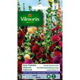 VILMORIN Rose trémière double grande variée-0