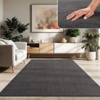 Paco Home Tapis De Salon Poils Ras Lavable Monochrome Style Moderne Gris Anthracite Gris foncé 160x220 cm