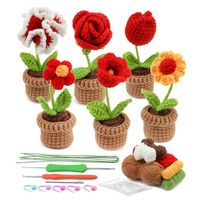 Kit Complet de Crochet pour DéButants, Kit de 6 Fleurs en Pot au Crochet avec Instructions éTape par éTape, Tutoriels VidéO