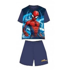 SpidermanTee Shirt Homme Spider-Man Bleu délavé à l'acide 