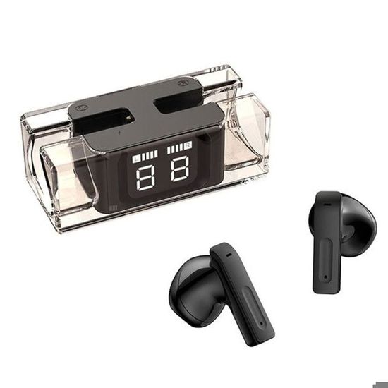 Accordeur à Diapason C-C Pour Chanteurs Et Musiciens - Portable Avec étui Velours - Idéal Chorale, Guitare, Saxophone...