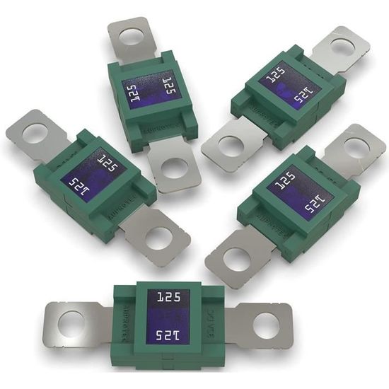 BOJACK Lot De 2 ANS Porte Fusibles De Voiture Et 2 Fusibles Midi Boulonnés à Courant élevé 100A