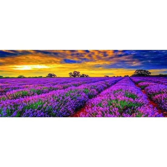 5D DIY Diamond Painting Kit,Fleurs De Lavande Broderie Diamant Kit Complet Pour Adultes Enfants Cristal Strass Point De Croix Art Pour La Maison Décor Murale Cadeau (50x70cm/20x28in