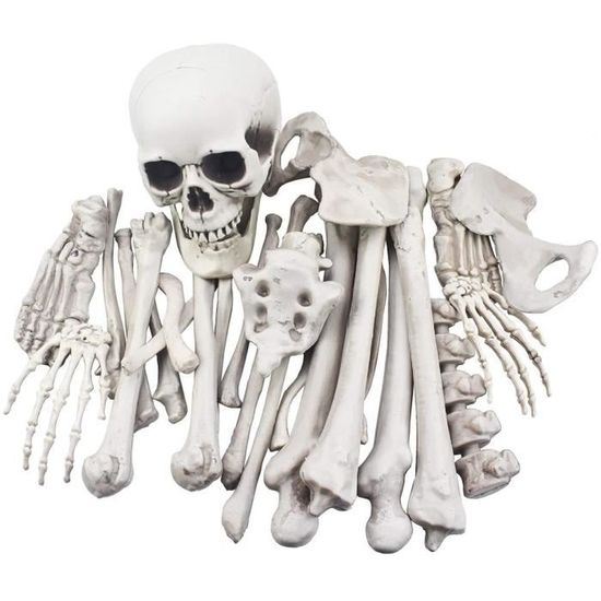 Gants Moto/vélo Halloween - Crâne Squelette Griffe Os - Plein Doigt - Écran Tactile - Homme/Femme - Lavage Main - 5