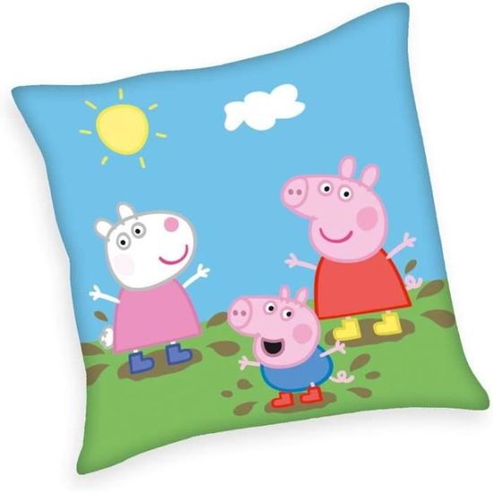 AG Design CND 3123 Coussin Avec Housse Décorative, Microfibre, Multicolore, 1 Unité (Lot De 1