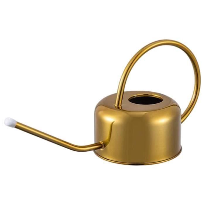 Arrosoir De 5 Litres, Matériau Métallique Durable, Avec Buse Longue Et