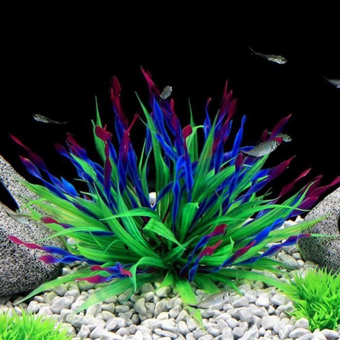 Comparer les prix de Décoration d'aquarium - VITATA - Jonc de mer artificiel - Plastique - Violet - Abri pour poissons