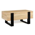 Table basse PHOENIX bois et noir - IDMARKET - Industriel - Loft - Noir - Mat-1