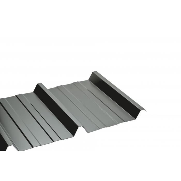 Plaque type bac acier 1045 en polyester Translucide, l : 105 cm, L : 300 cm
