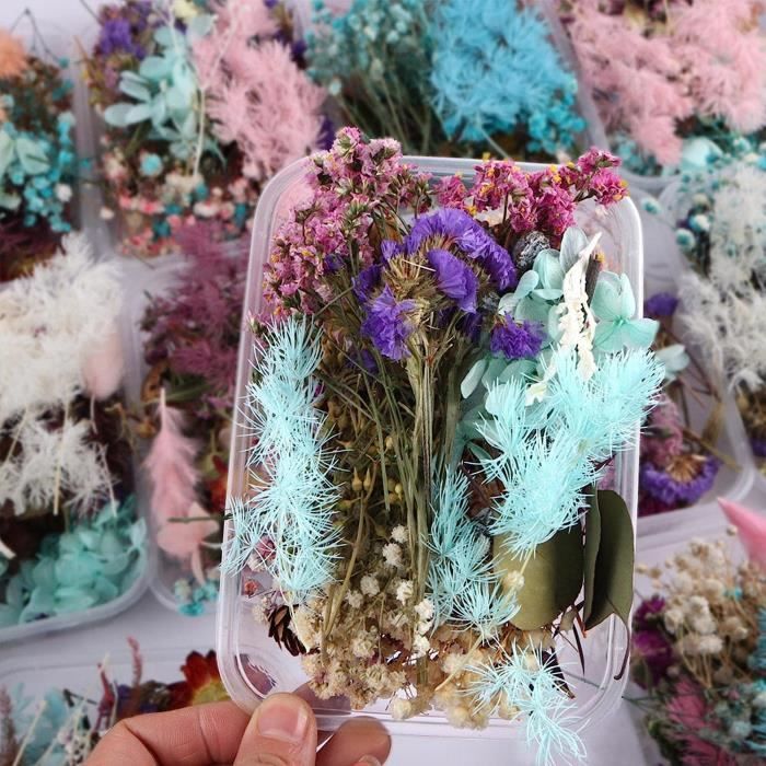 Fleurs Séchées Naturelles - 48 Pièces Multicolores Pour DIY, Scrapbooking Et Décorations